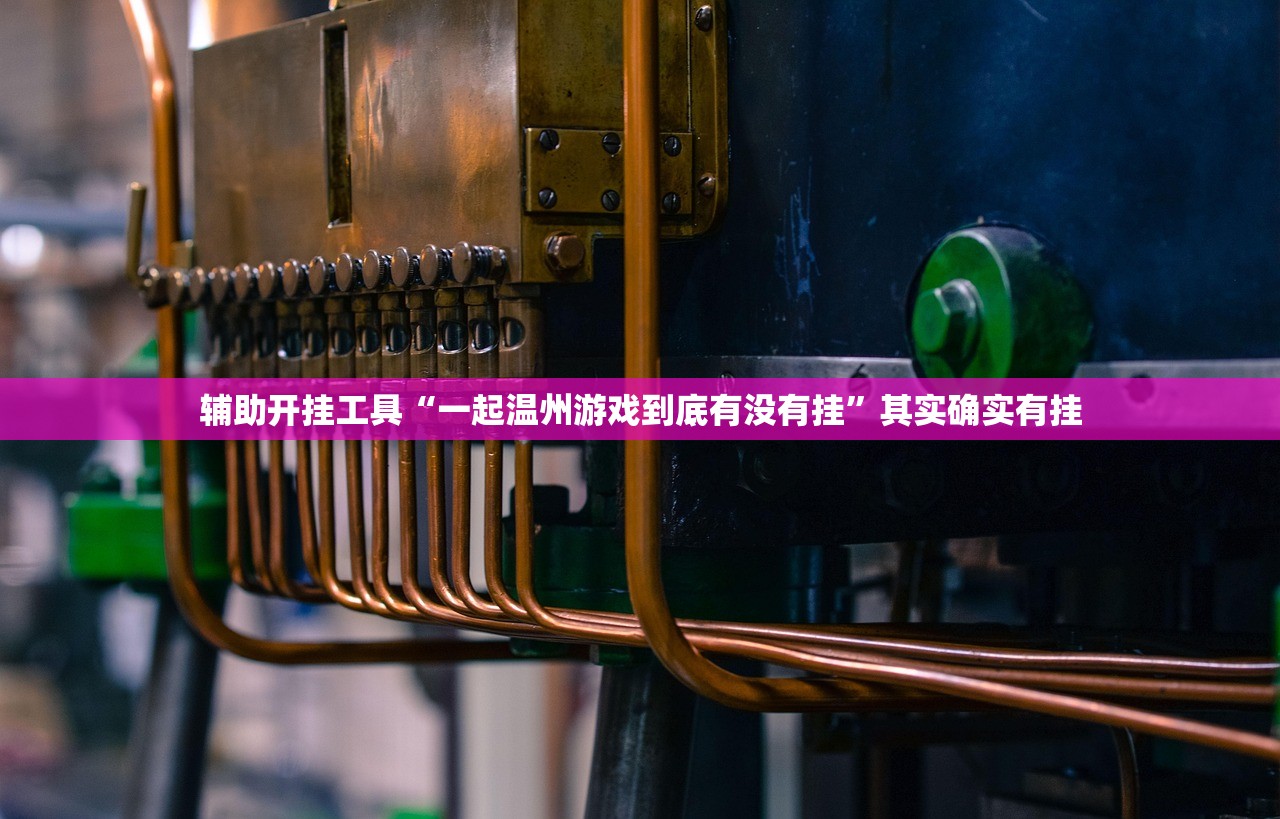 推荐一款“白金岛二七王外卦辅助软件下载”开挂详细教程