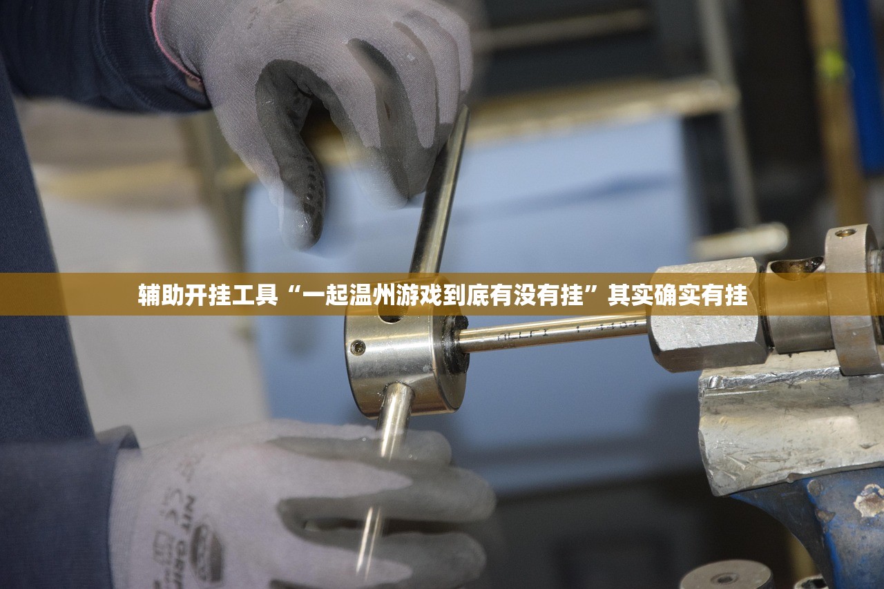 辅助开挂工具“一起温州游戏到底有没有挂	”其实确实有挂