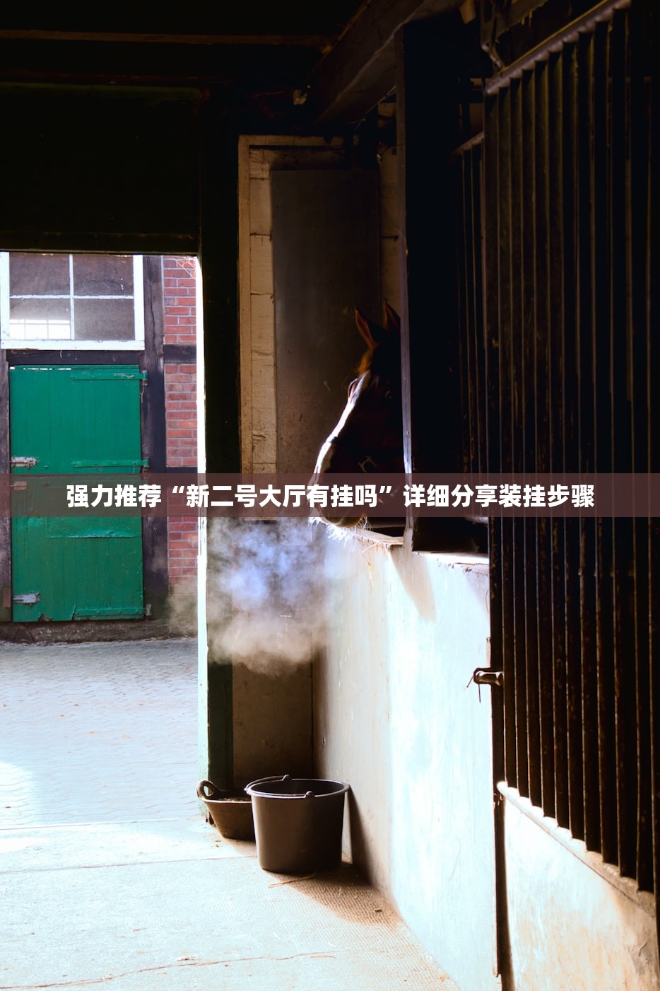 强力推荐“新二号大厅有挂吗”详细分享装挂步骤
