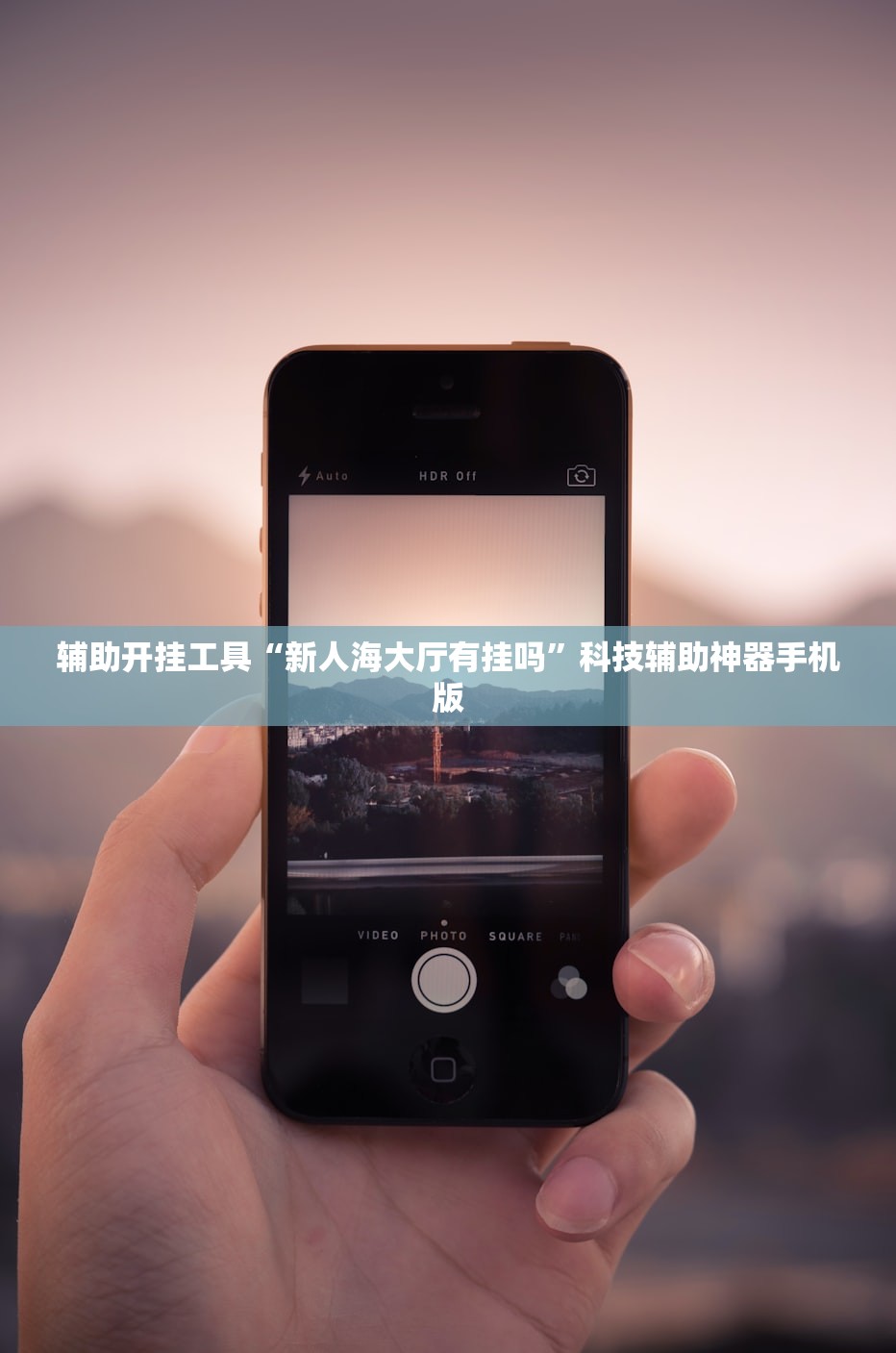 摇号查询北京（摇号查询北京网站登录提示验证码错误）
