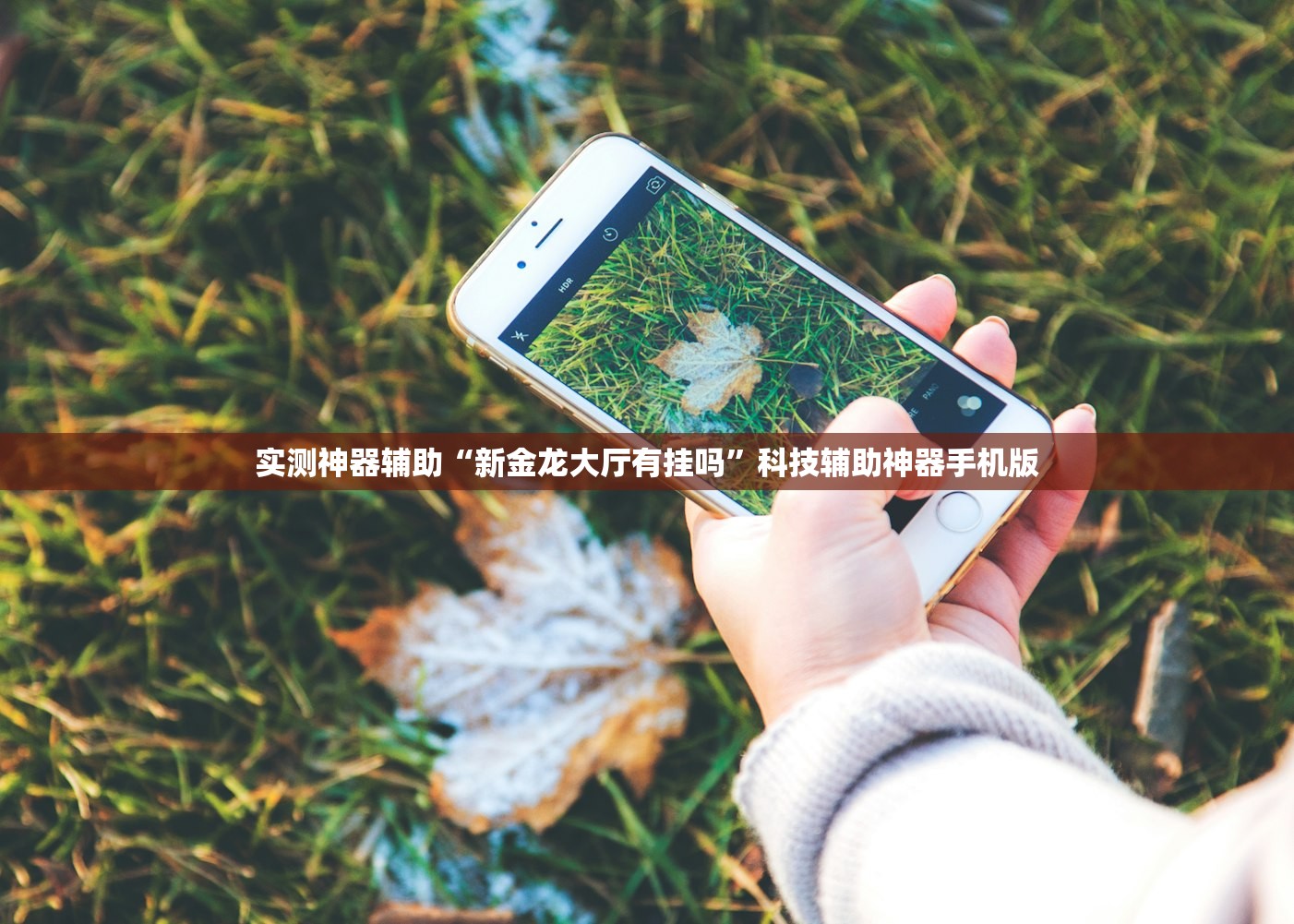 实测神器辅助“新金龙大厅有挂吗”科技辅助神器手机版