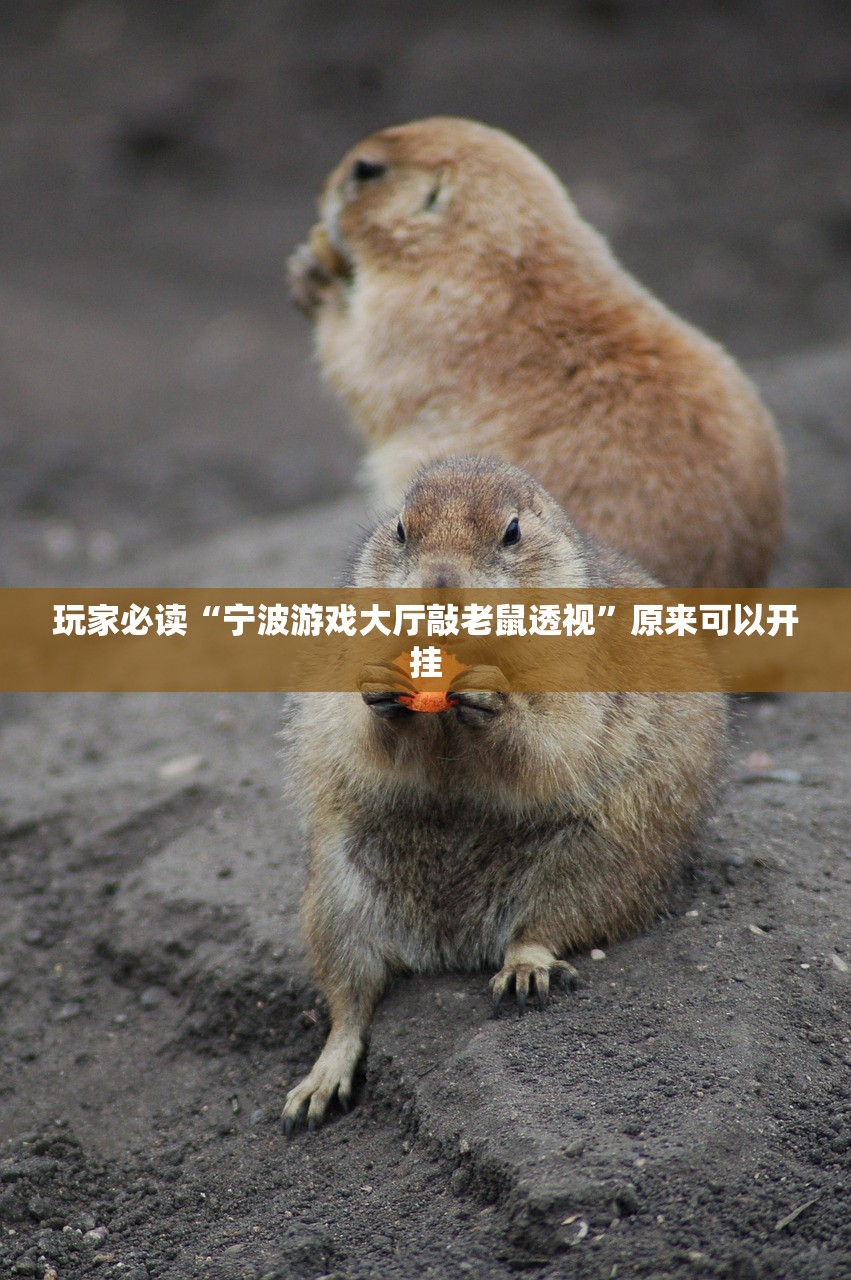 【31省区市新增确诊25例,31省区市新增确诊20例8885】