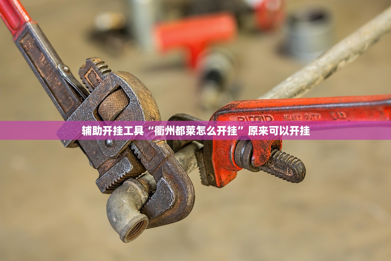 辅助开挂工具“衢州都莱怎么开挂”原来可以开挂
