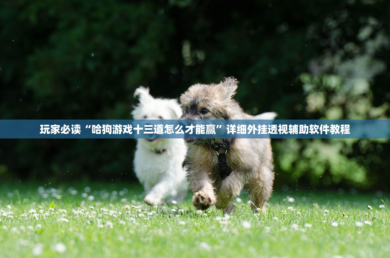辅助神器“腾讯广东麻将有挂吗怎么开挂下载(透视)”开挂辅助脚本+详细开挂安装教程