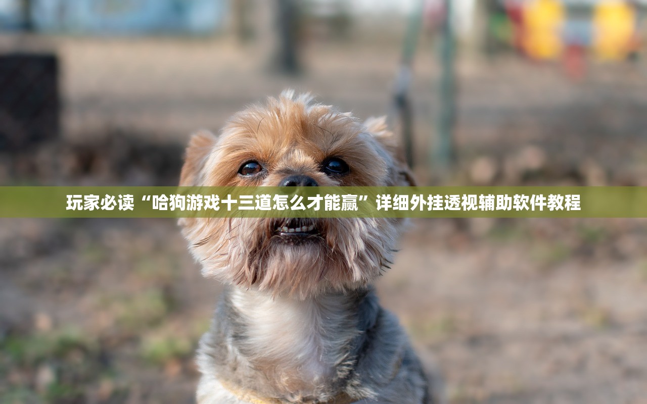 玩家必读“哈狗游戏十三道怎么才能赢	”详细外挂透视辅助软件教程