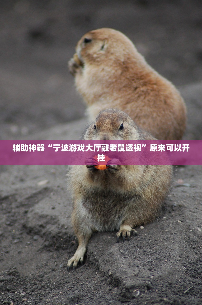 辅助开挂工具“闲逸麻将开挂神器”(透视挂)辅助下载教程