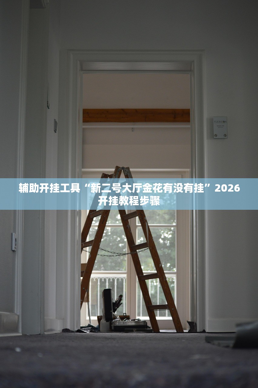 玩家辅助神器：边锋干瞪眼有没有可能作弊”原来可以开挂