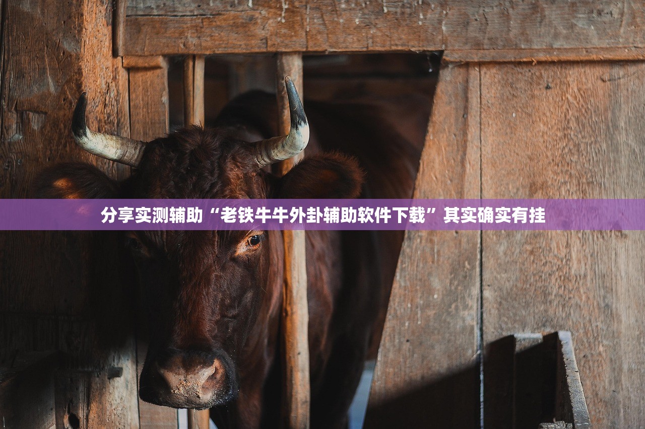 【上海交大学生就业情况,2020年上海交通大学就业质量报告】