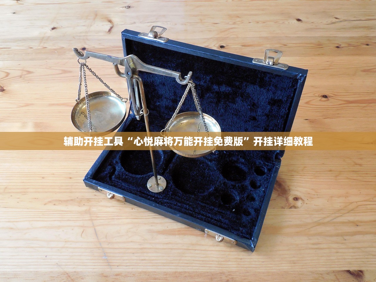 终南山来石家庄/钟南山到石家庄了