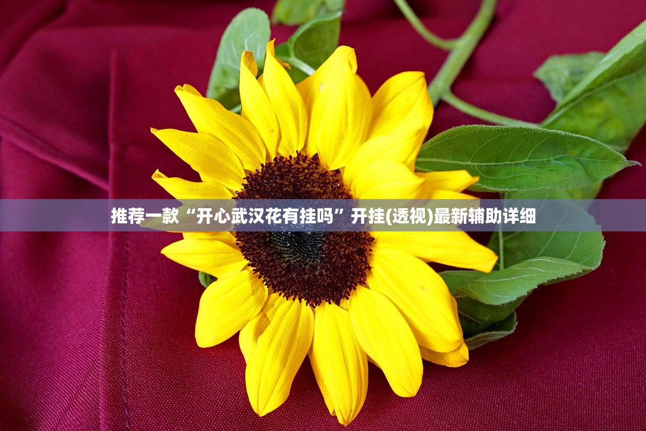 推荐一款“开心武汉花有挂吗”开挂(透视)最新辅助详细