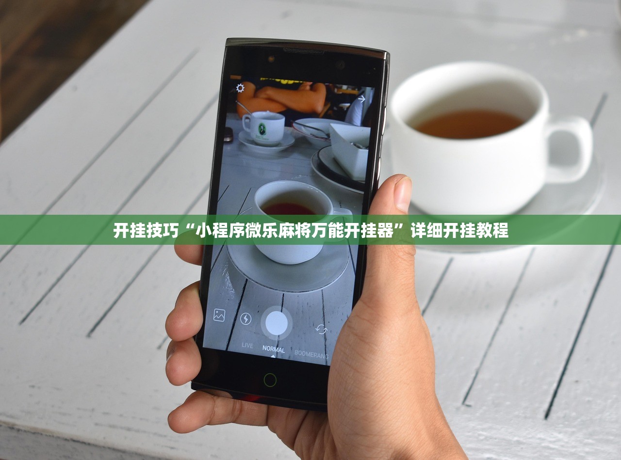 开挂技巧“小程序微乐麻将万能开挂器	”详细开挂教程