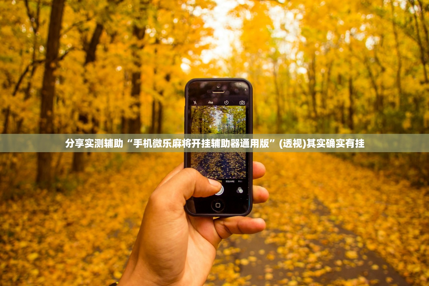 分享实测辅助“手机微乐麻将开挂辅助器通用版”(透视)其实确实有挂
