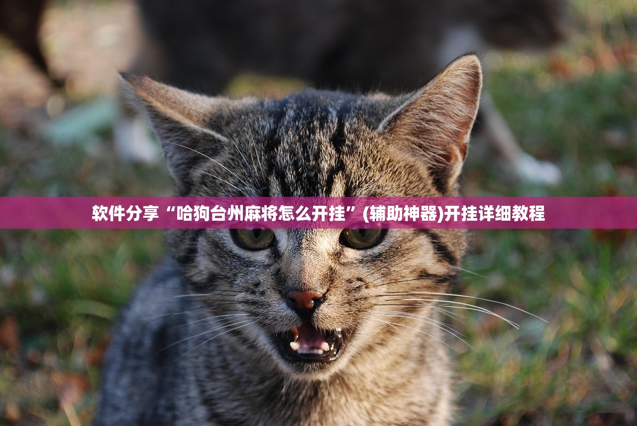 二手毛坯房满两年要缴税:二手毛坯房过户满2年