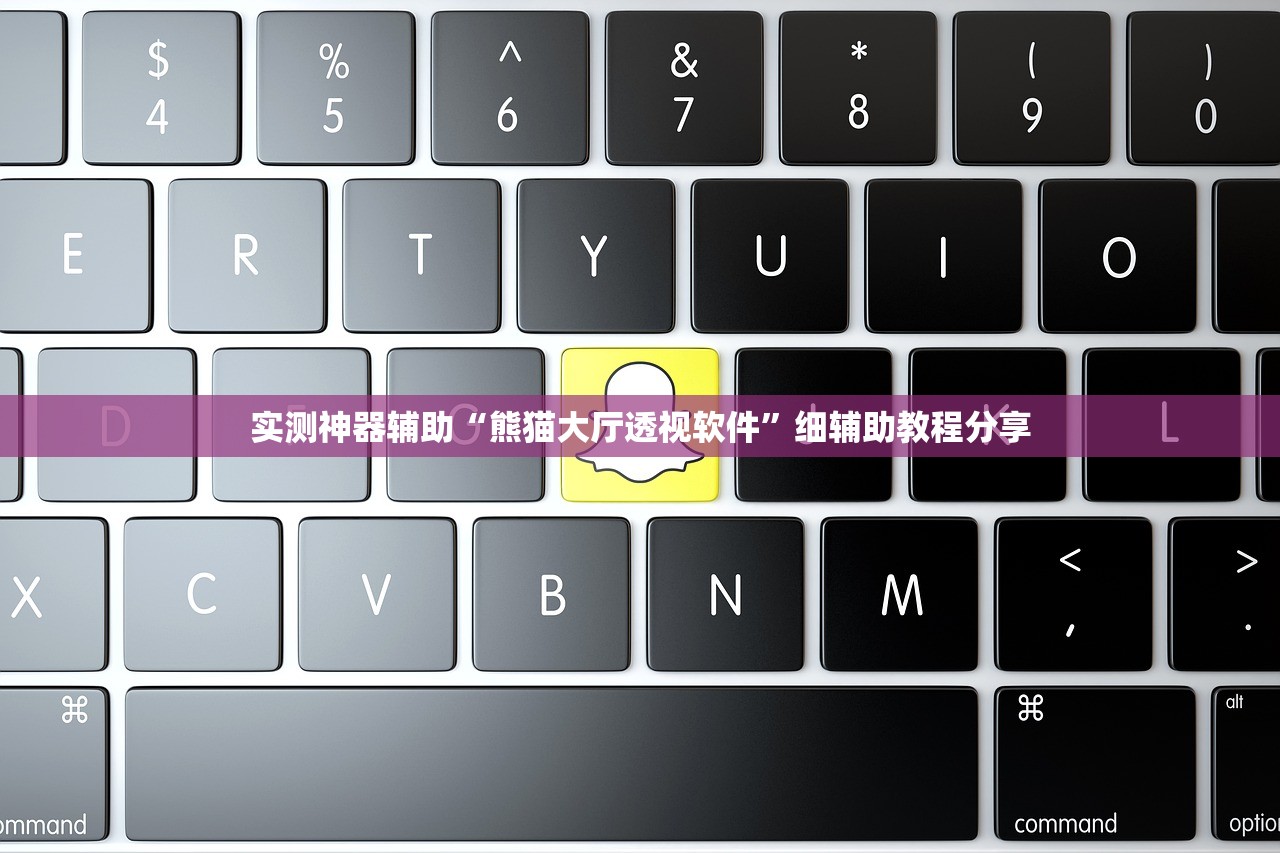 实测神器辅助“熊猫大厅透视软件”细辅助教程分享
