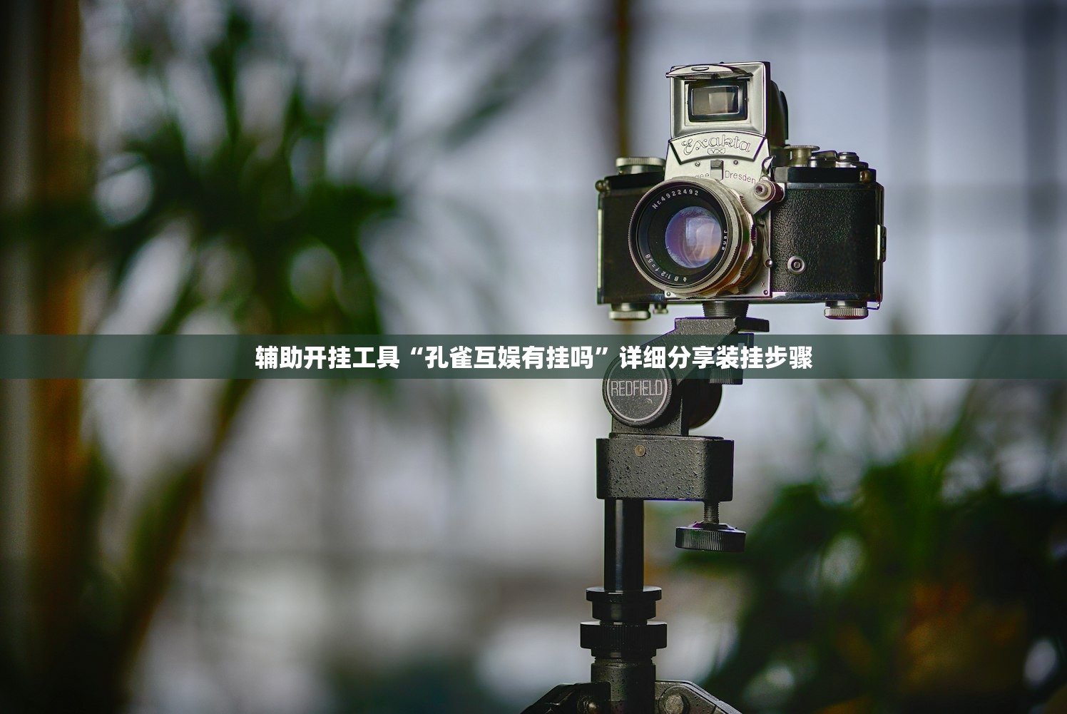 玩家辅助神器：新卡农透视换牌免费(透视)”开挂辅助脚本+详细开挂安装教程