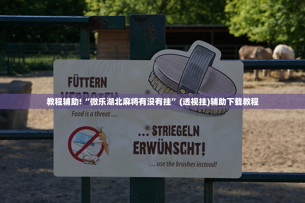 教程辅助!“微乐湖北麻将有没有挂”(透视挂)辅助下载教程