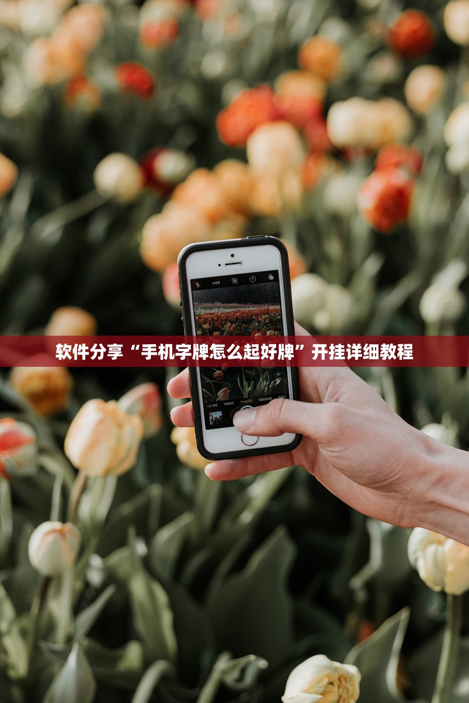 软件分享“手机字牌怎么起好牌”开挂详细教程