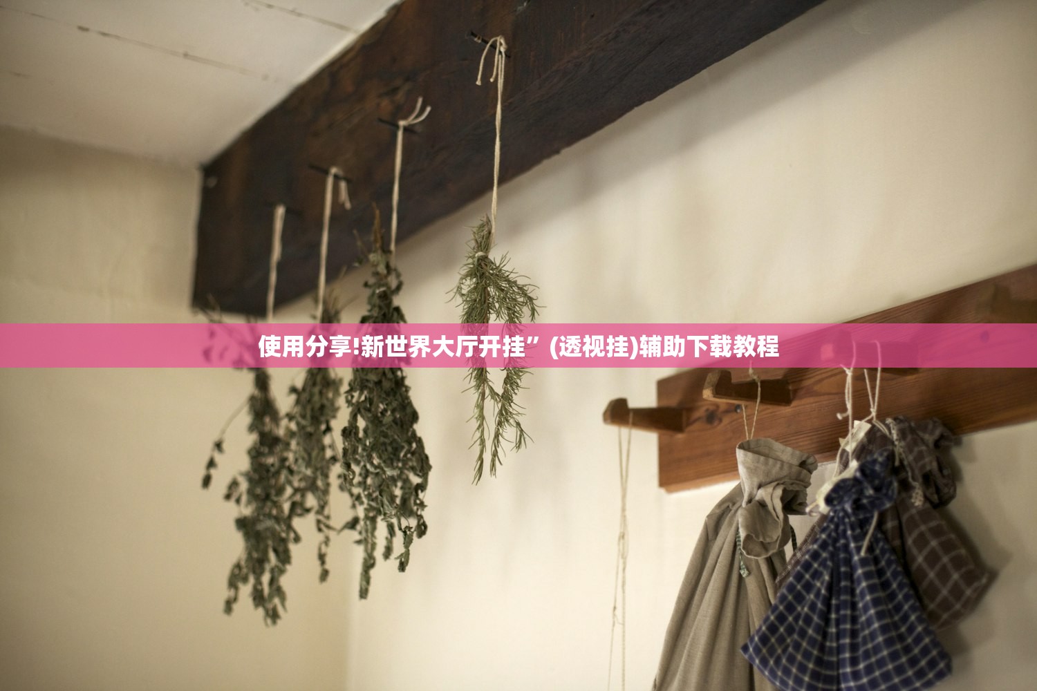 使用分享!新世界大厅开挂”(透视挂)辅助下载教程