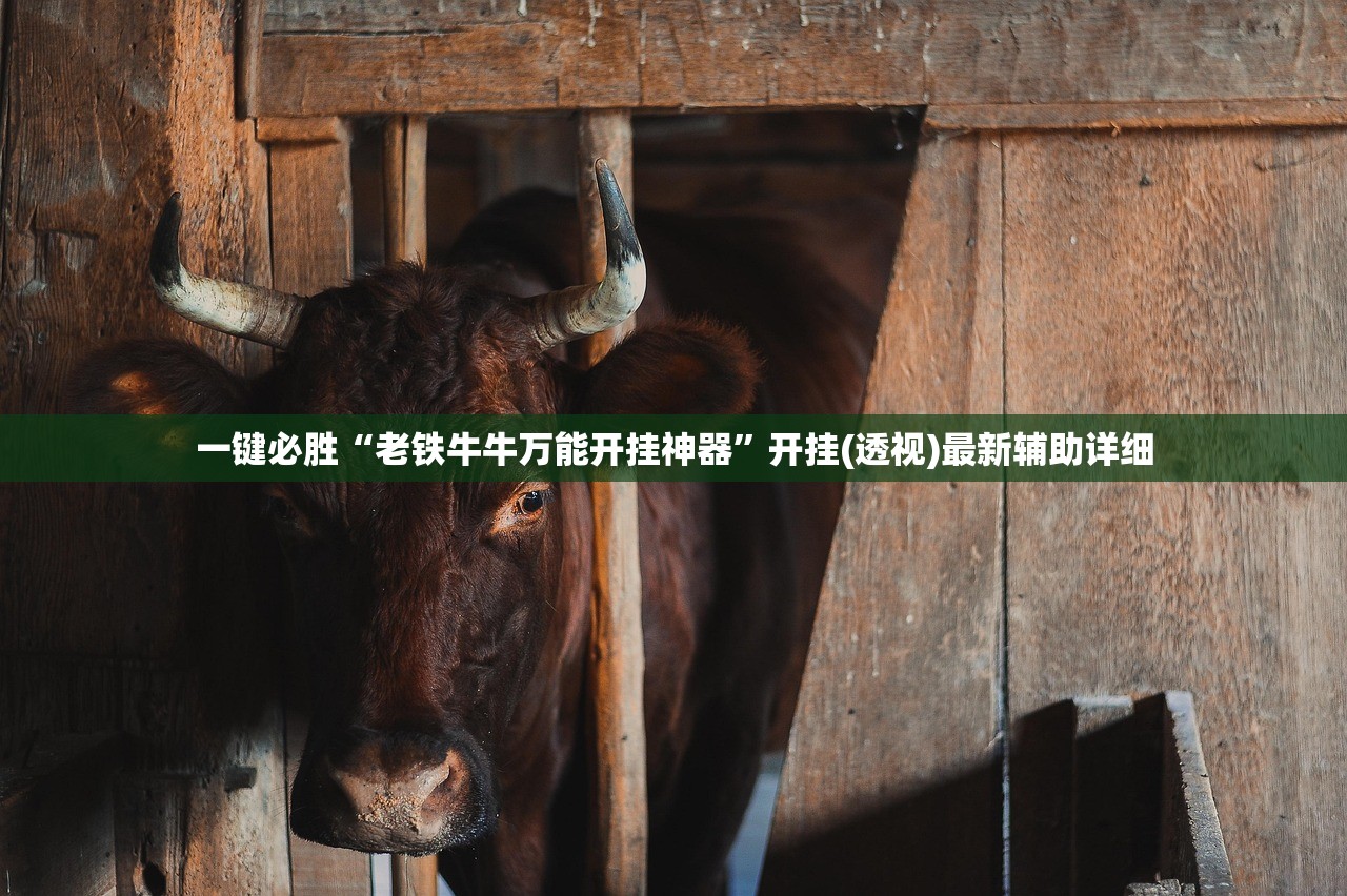 助赢神器“爱来游戏辅助器安卓”其实确实有挂