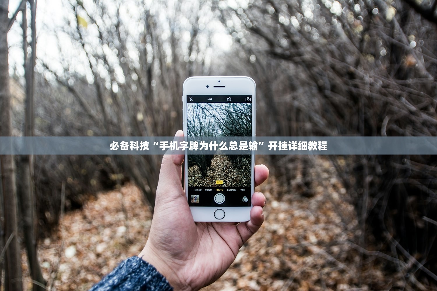 必备科技“手机字牌为什么总是输”开挂详细教程