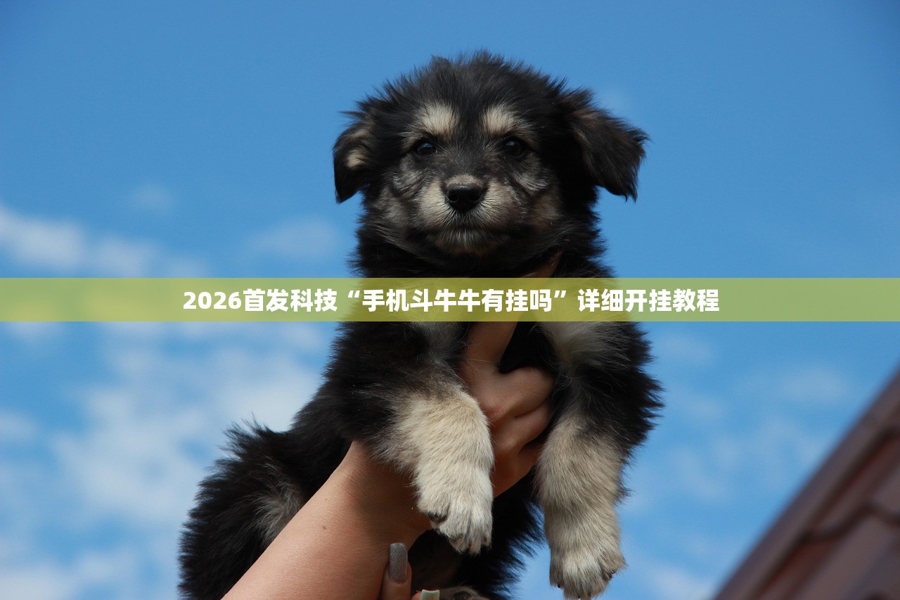 万能开挂辅助“微信小程序微乐卡五星怎么开挂”详细开挂教程