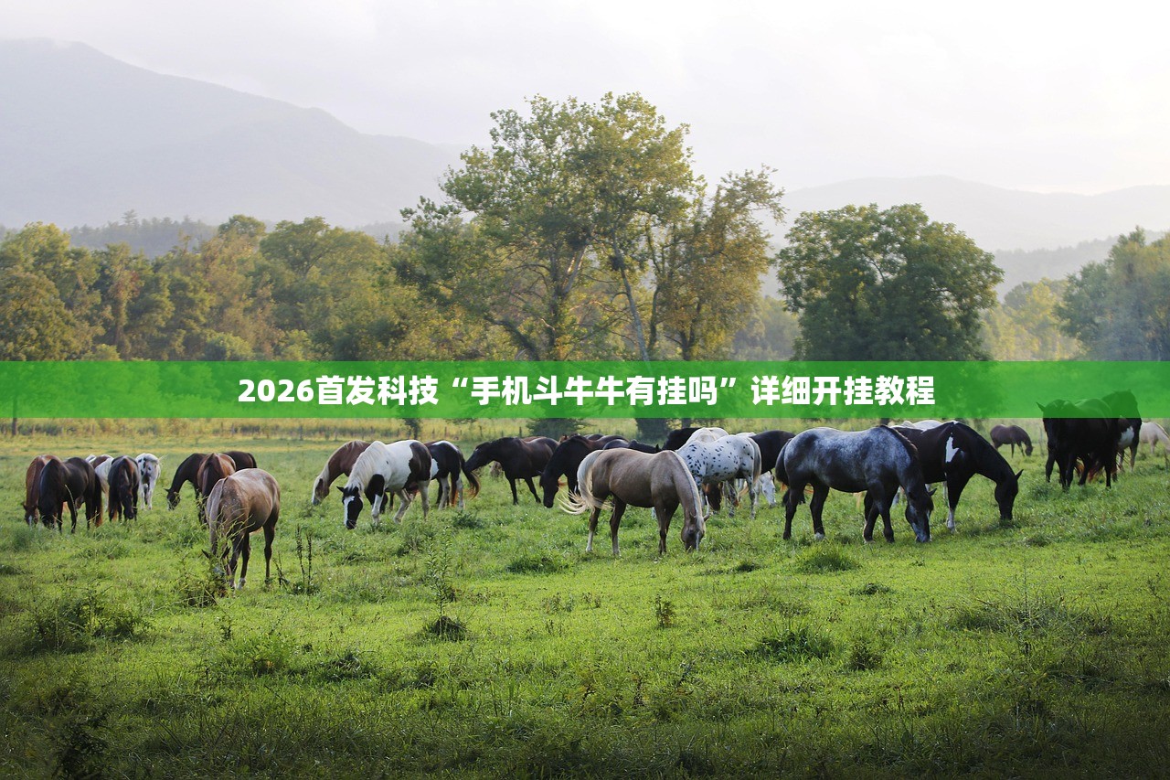 2026首发科技“手机斗牛牛有挂吗”详细开挂教程