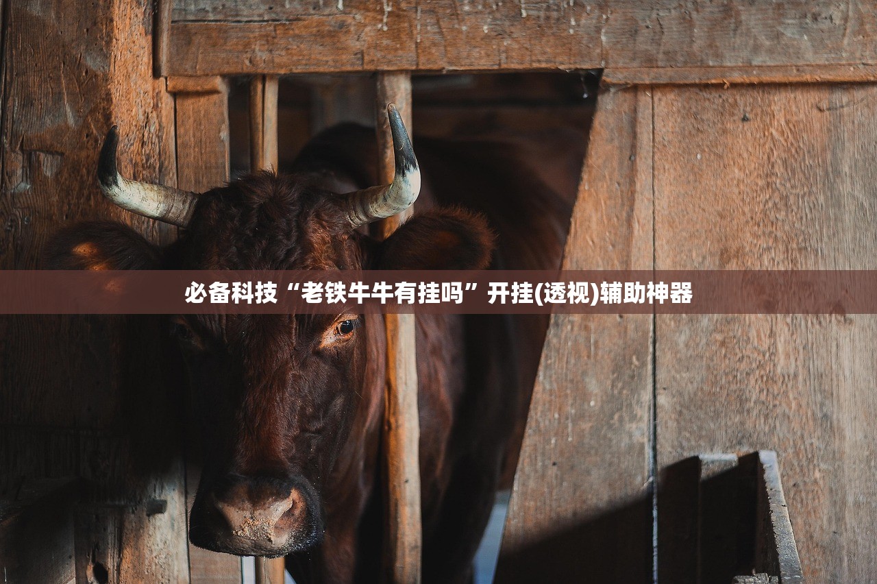 实测神器辅助“随意玩大厅可以开挂吗”开挂(透视)辅助教程
