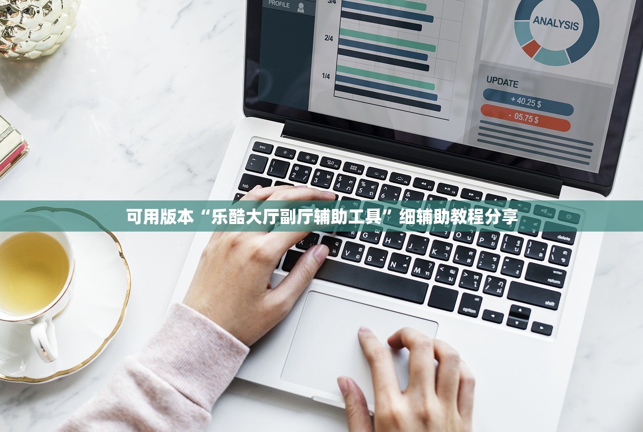 可用版本“乐酷大厅副厅辅助工具”细辅助教程分享